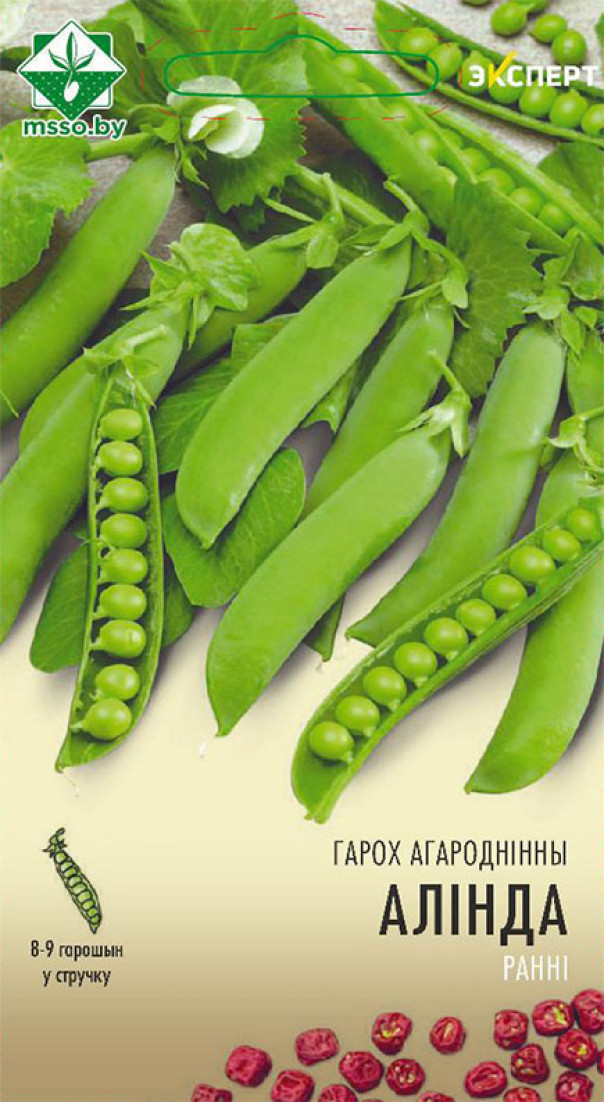 Горох Олинда овощной 12г (Эксперт)