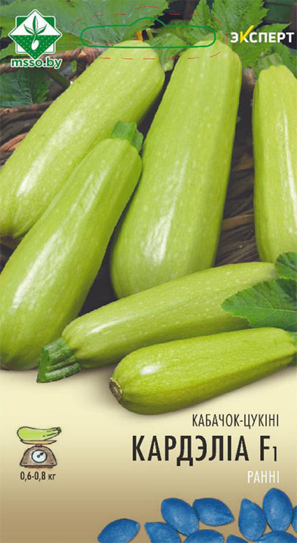 Кабачок Корделиа F1 6шт (Эксперт)