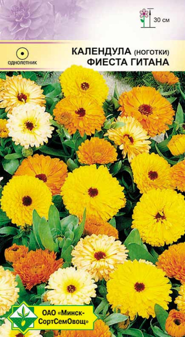 Календула лекарственная Фиеста Гитана