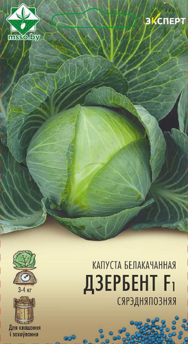 Капуста Дербент F1 12шт (Эксперт)