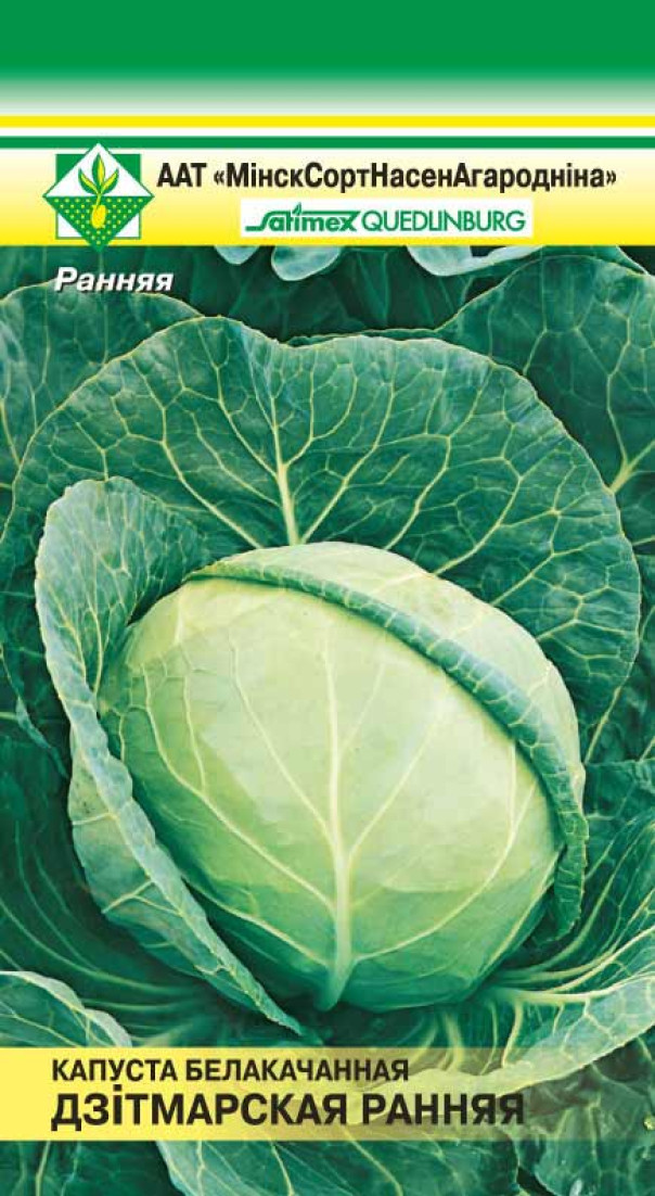 Капуста Дитмарская ранняя