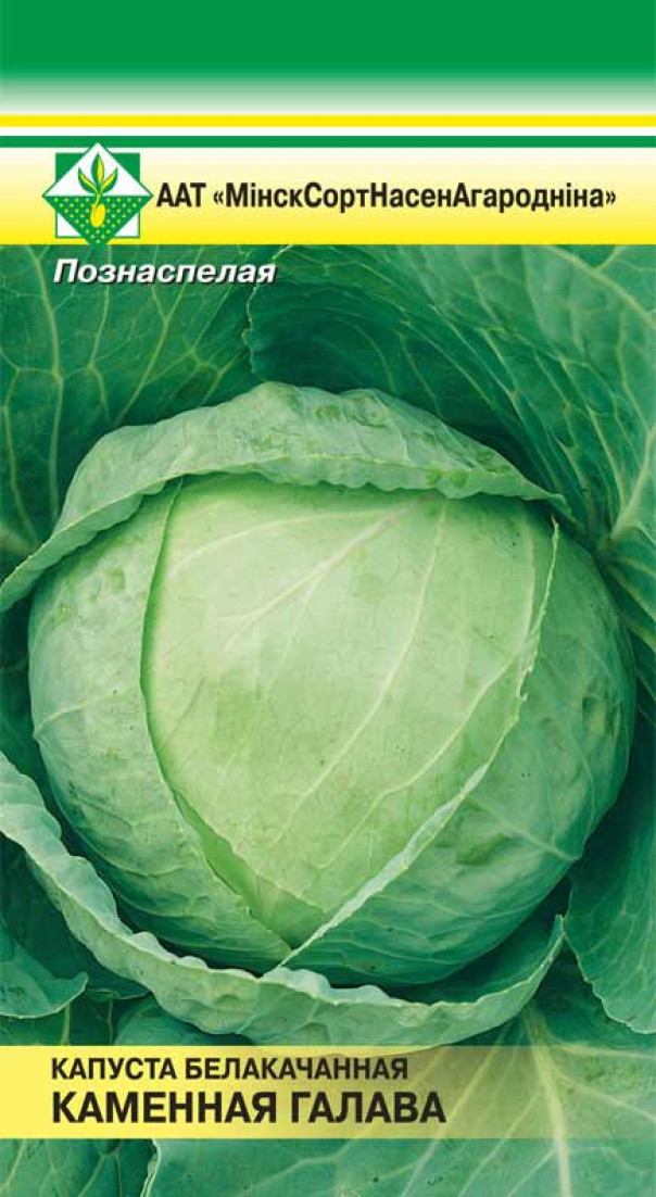Капуста Каменная голова