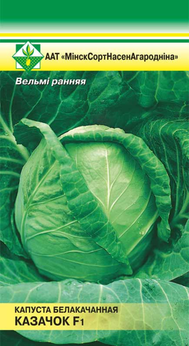 Капуста Казачок F1 0,1г