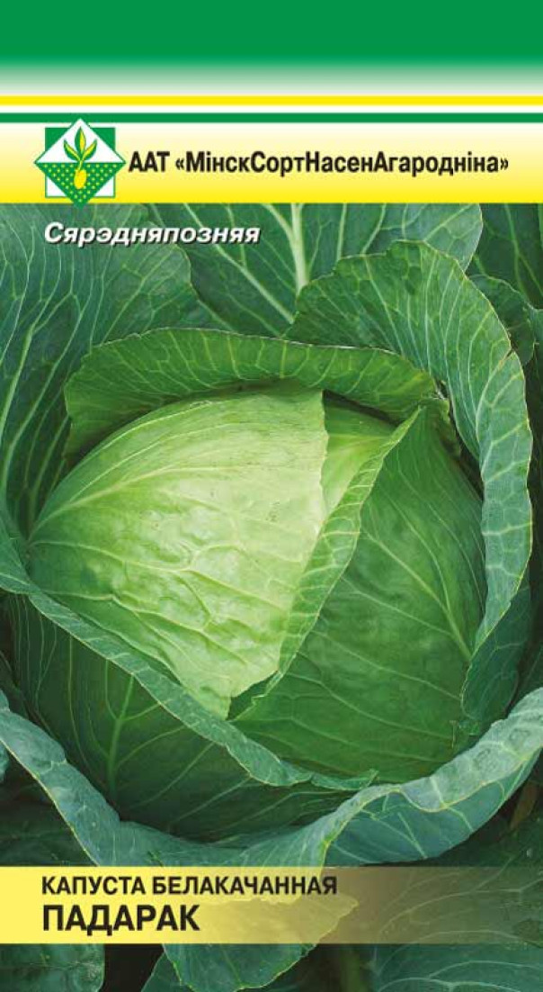 Капуста Подарок