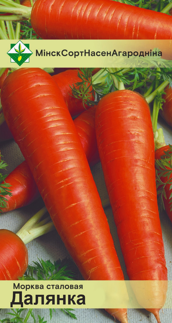 Морковь Королева осени