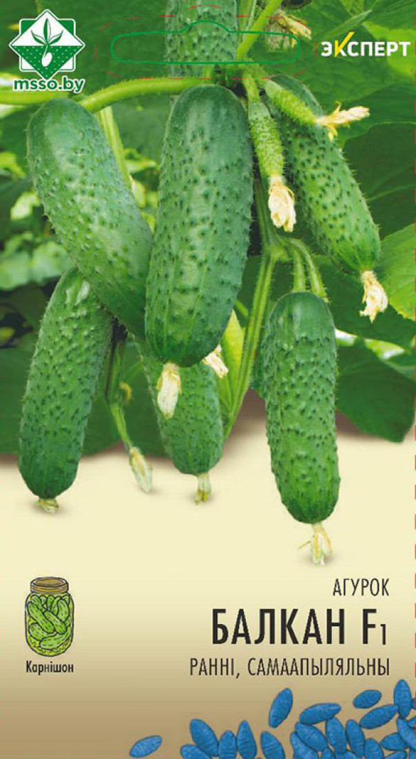 Огурец Балкан