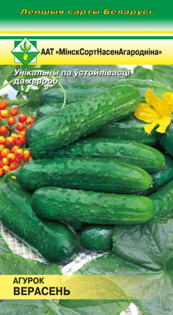 Огурец Верасень 0.6г