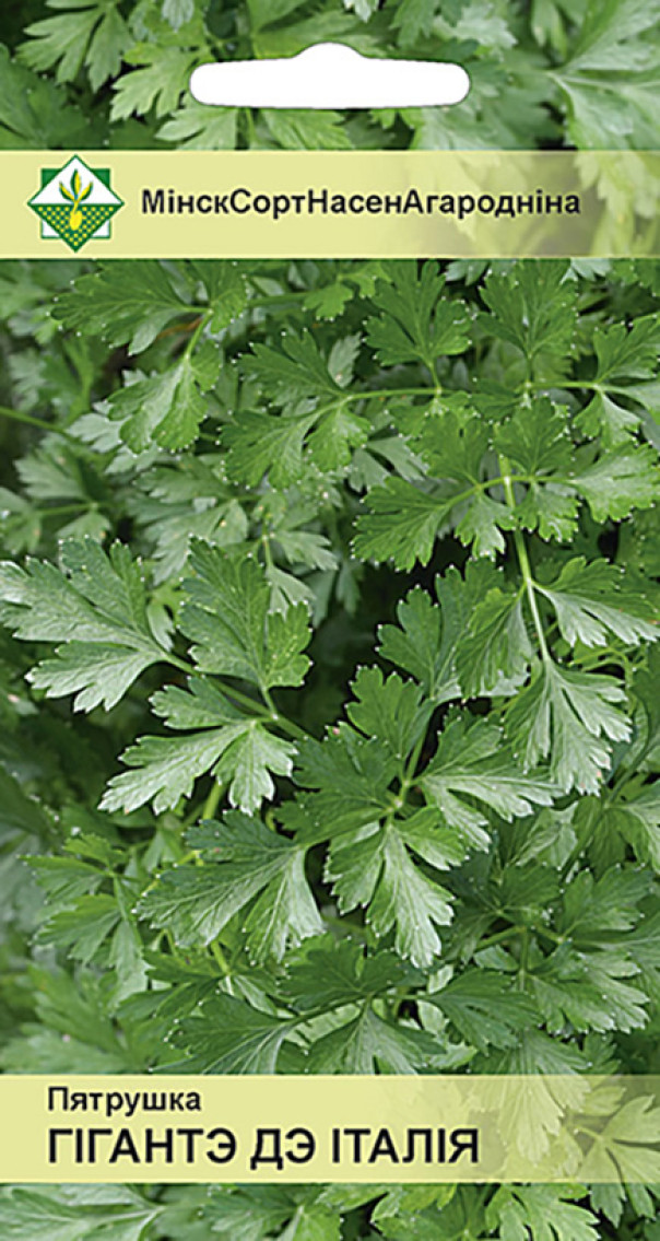 Петрушка Гиганте де Италия