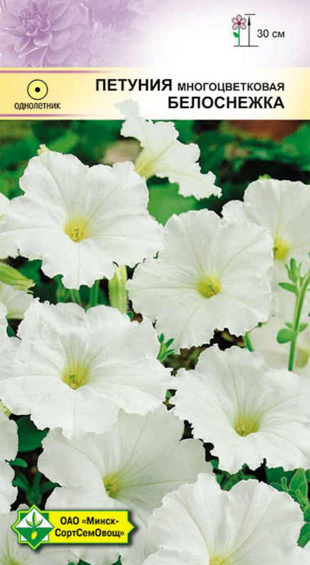 Петуния гибр многоцв Белоснежка