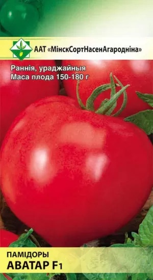 Помидор Аватар