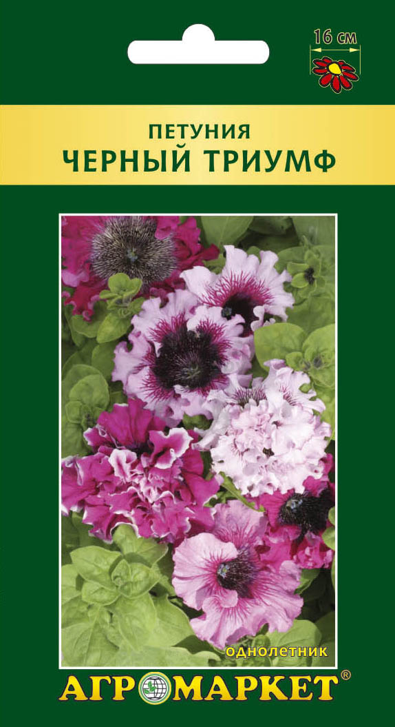 Семена петунии Черный триумф