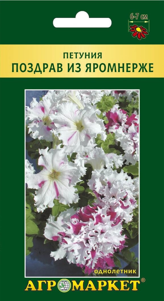 Семена петунии Поздрав из Яромнерже