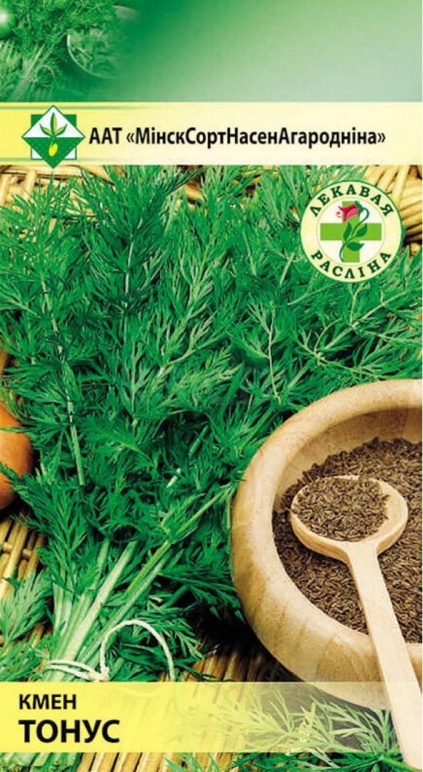 тмин тонус