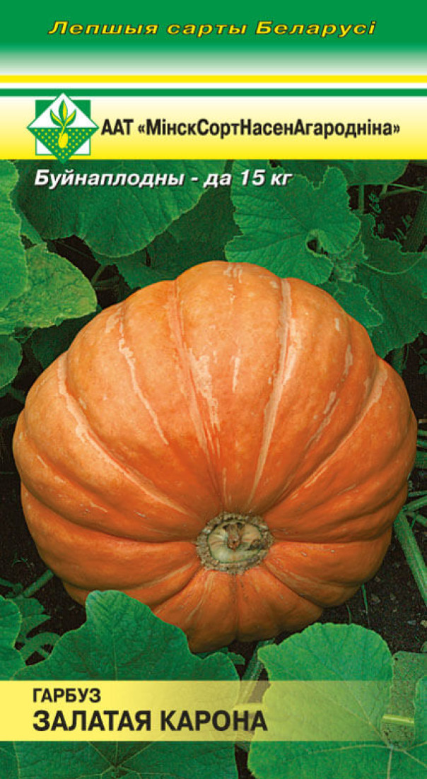 Тыква Золотая корона 10шт