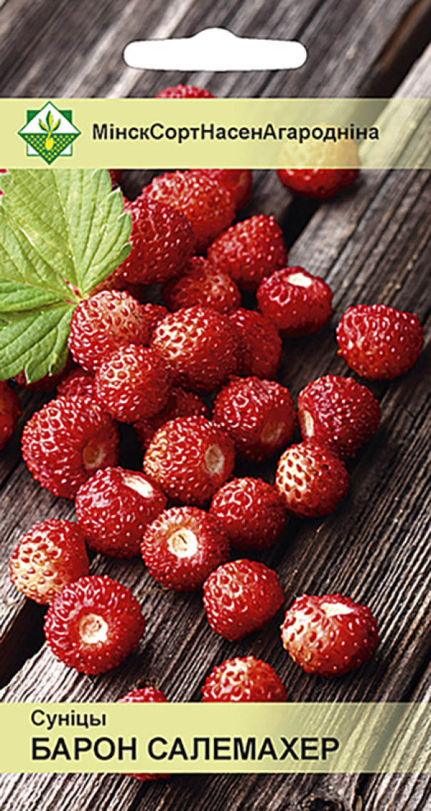 Земляника Барон Солемахер 100шт