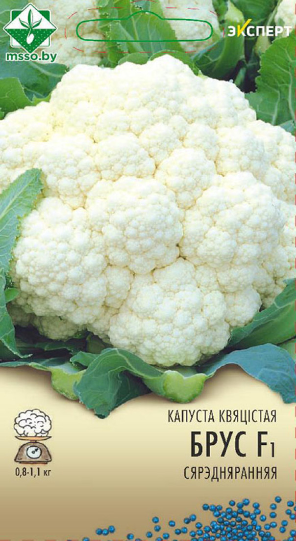 Капуста цв Брюс F1 10шт