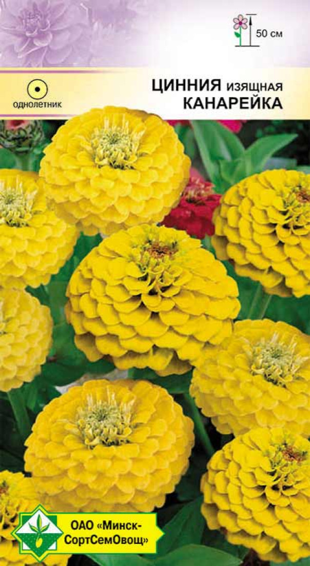 Цинния изящная Лилипутовая Канарейка 0.5г