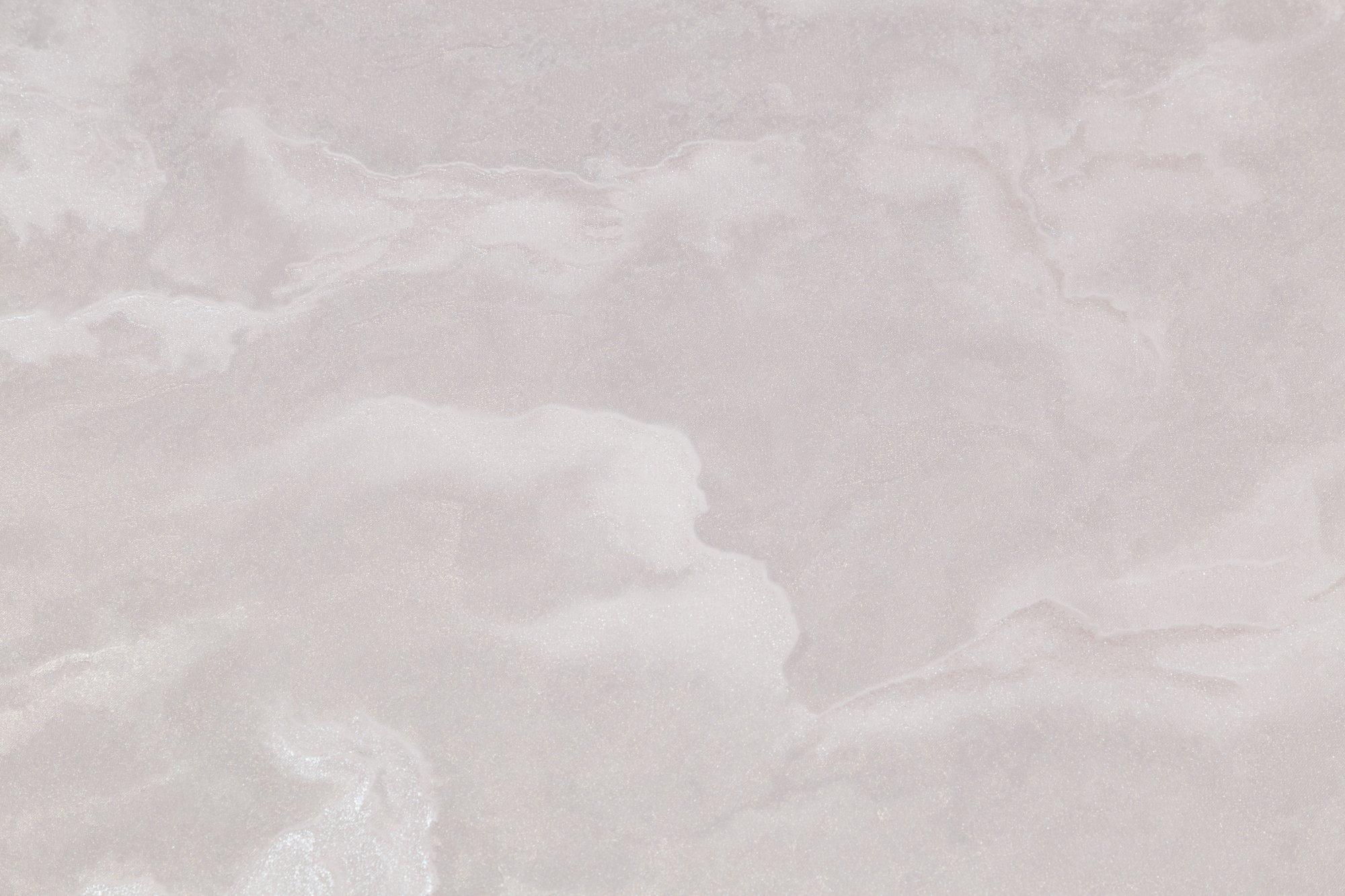 CAT_MACRO_PHOTObI_PL72373-25_(2)