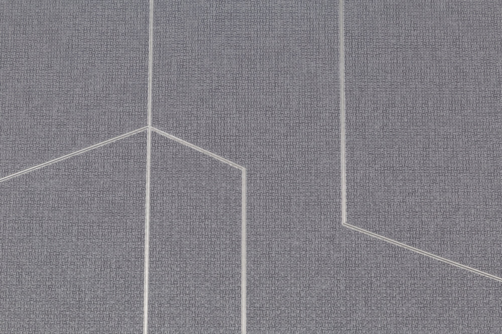 CAT_MACRO_PHOTOgI_TC72376-44_(2)