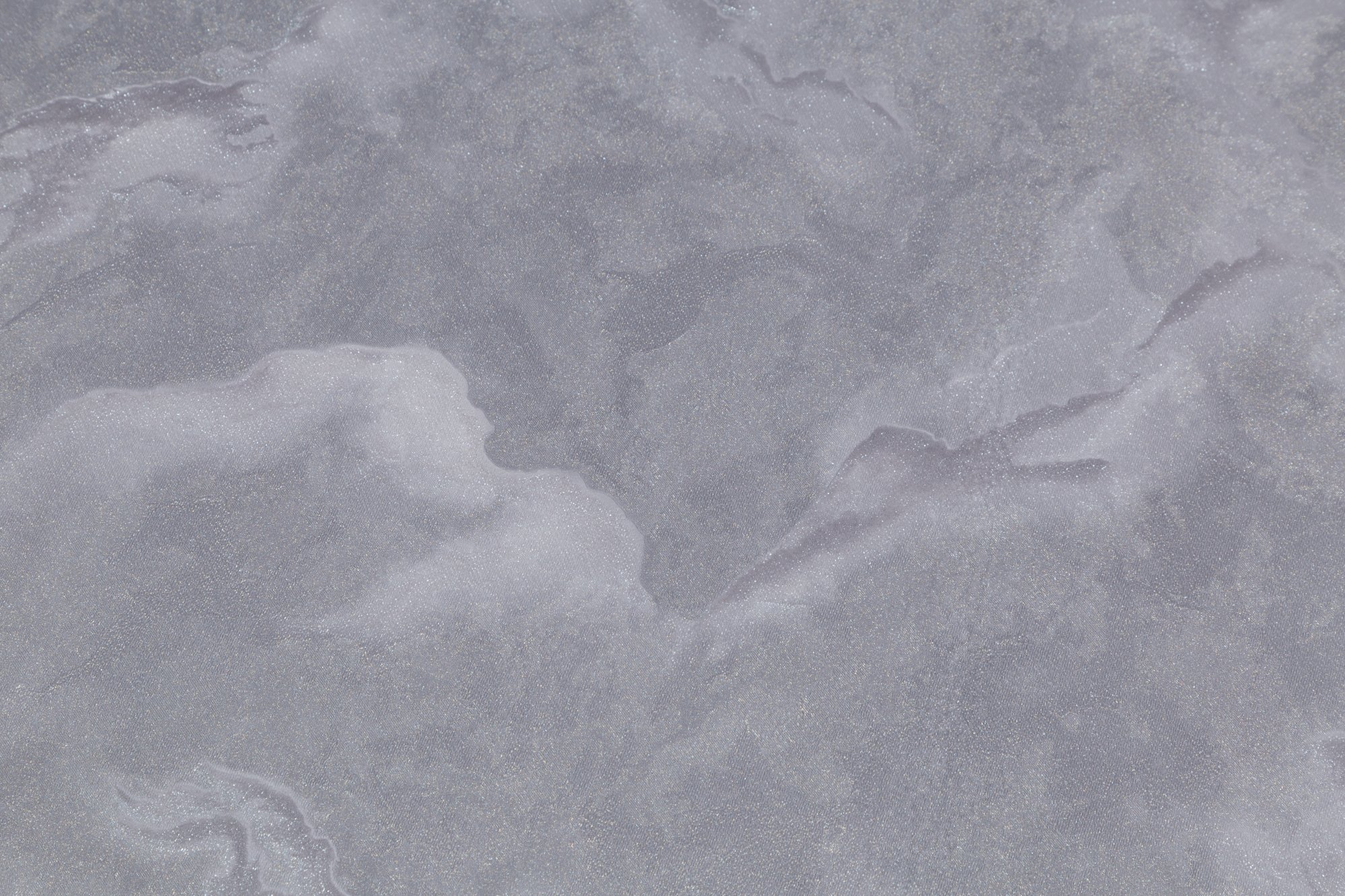 CAT_MACRO_PHOTOkI_PL72373-41_(2)