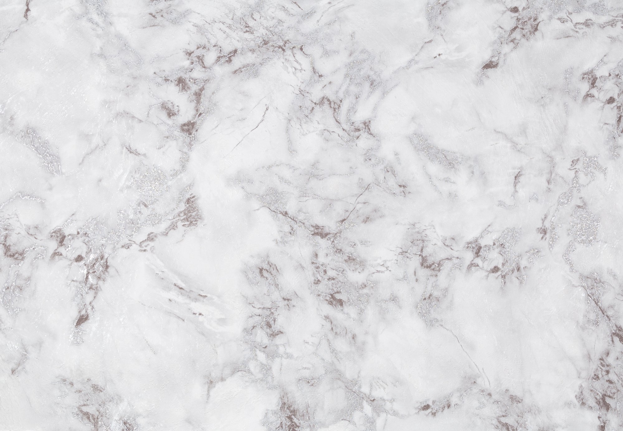 CAT_MACRO_PHOTOlI_PL72342-22_(1)